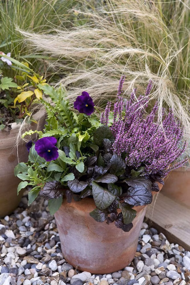 442cd54086e7217f39c7e331cddf661c