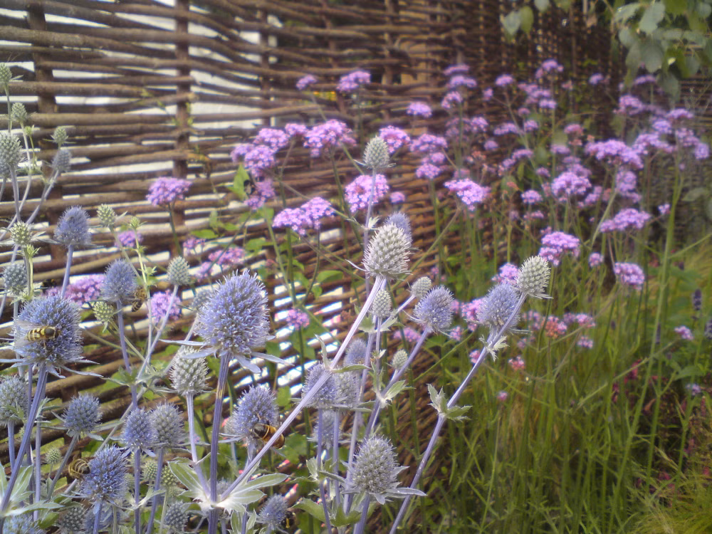 446f5b3260ca1987e4a297e95d35a05f