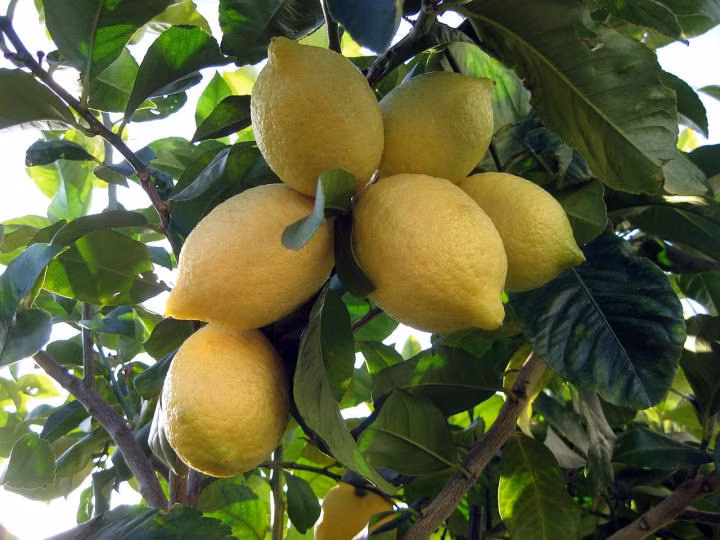 4494533c7fc2641461ba3df83802f39c