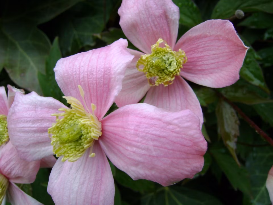 44b6318272270bae1f2fd61383730de8