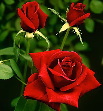 44c880e9b3aaa08dfaeb74834201889f