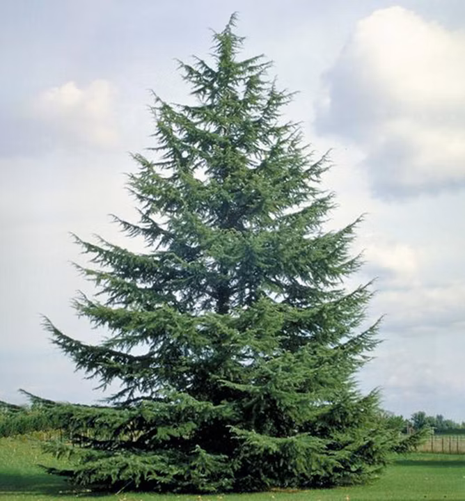 44cbbb66ef67a103e712bcbfca8694ec