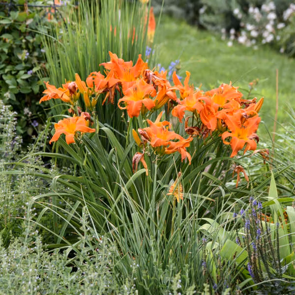 4505a21cd903c2ff9b7c94d3f3ef1f13