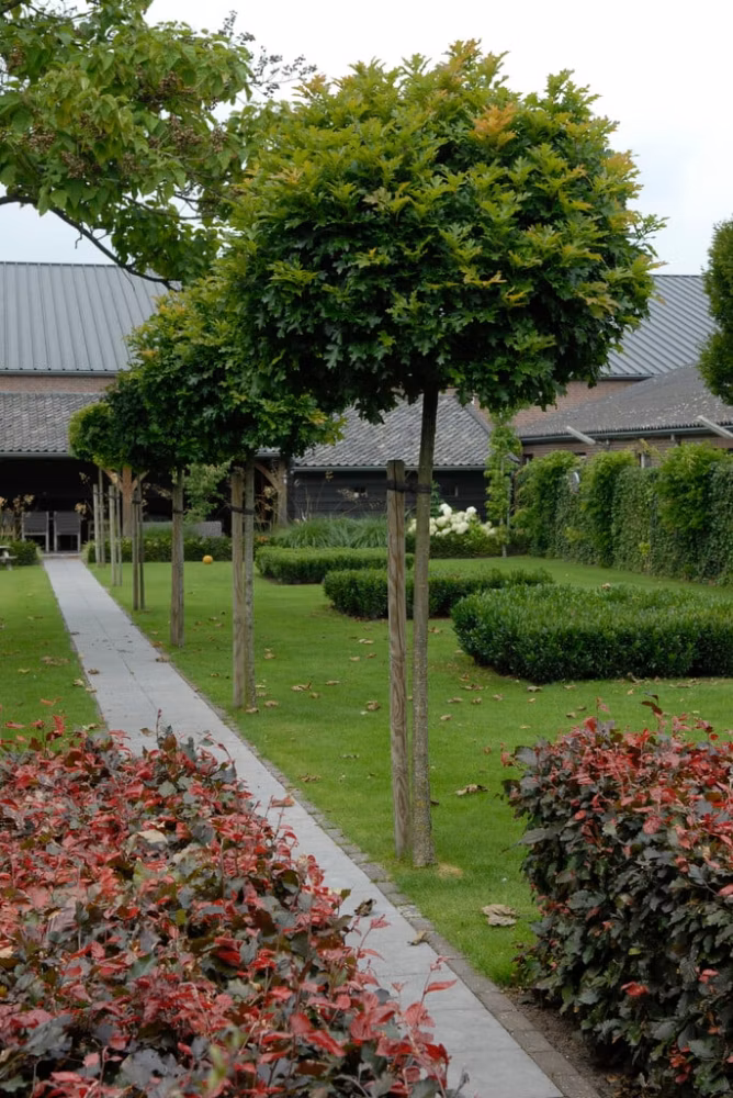 4542d4d4888f0f40993918828f1e385d