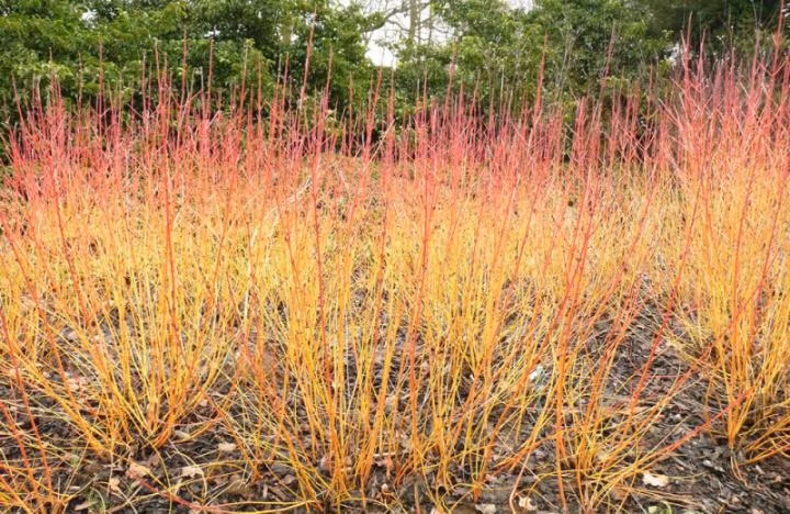 455a48f7512ee646a5f9cc5aaf660802