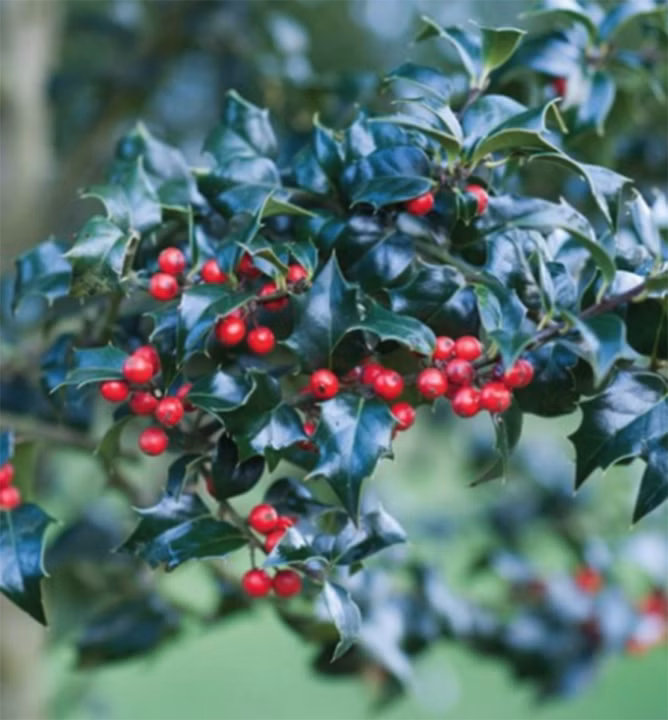 45d804591eab88cc113ab5208283d18e