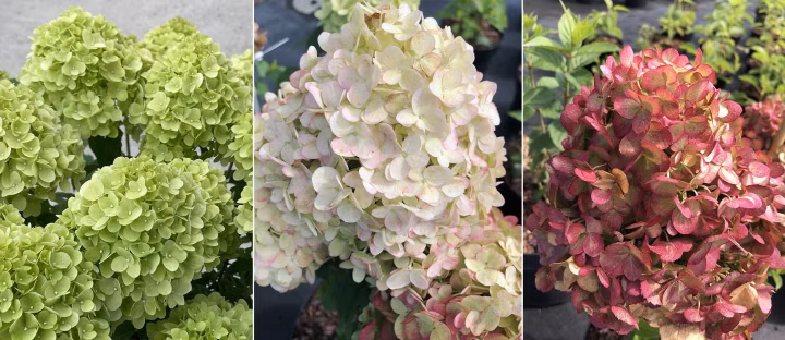 45ea7aa36401c506bf7d54183a92ed33