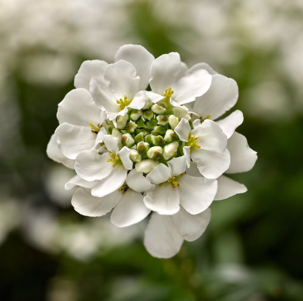 4604c2f29856a8d7a49dc79cf6046f46