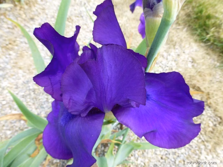 4604ce90dbc5ba9c8b036b8ec8814b65