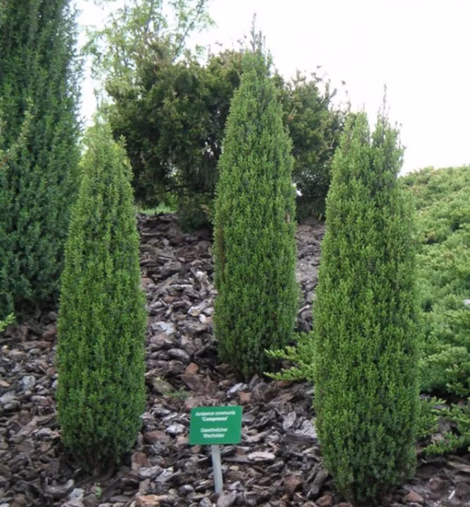 460856f05fdc76f293d1bf9d21843d4a