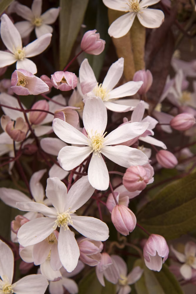 4637055319a9cbea948838e5dd8ebb9c