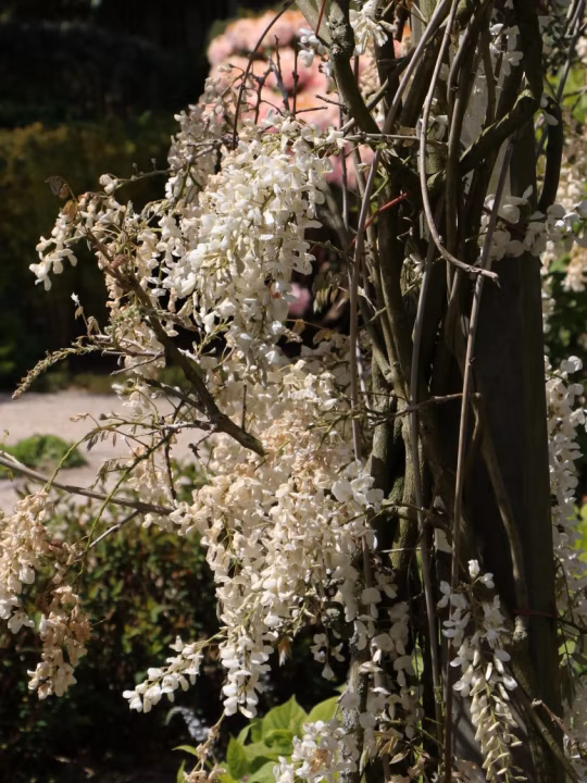 4646781568044b5d088070a771eb925e