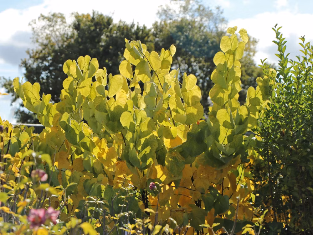 4654afdede6b6bcc37efcda5aad8e570