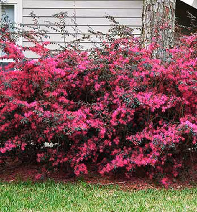 465a6829001b0660fc12afb1ef6c905d