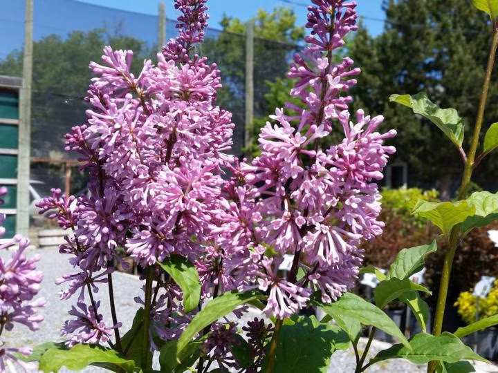 4693dfc94e0b3e67051bb794abe2f6b0