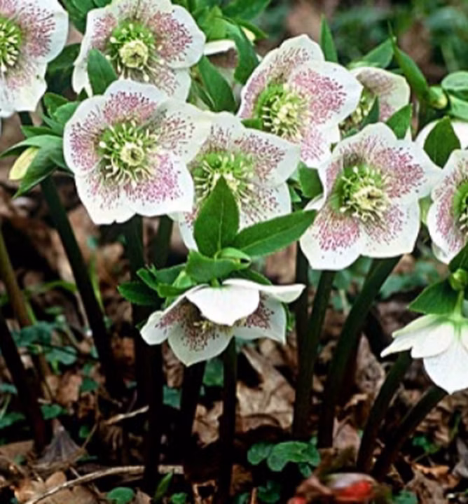 46bc1ee8d335f4dffcbd902e0c51f88e