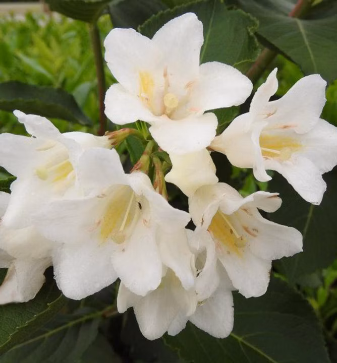 4740a8677b290fd3880500b39a5771db