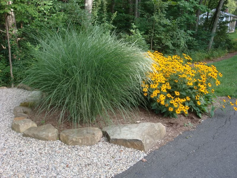 474acf088a321dde0c14e04f8a385c3e