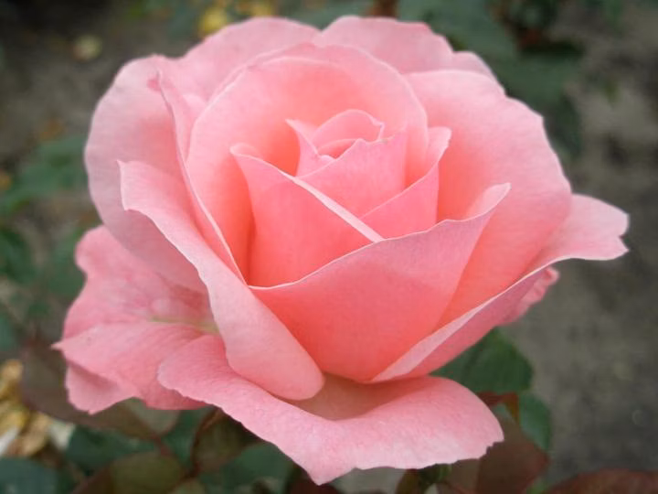 47917172c50053a047707f32276d8140