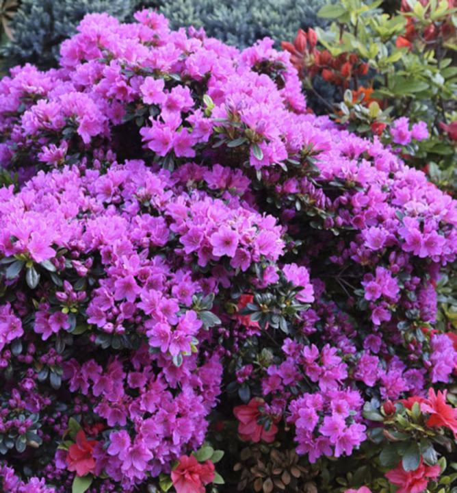 47d2ec68ba47db09e520ad2e711f60cb