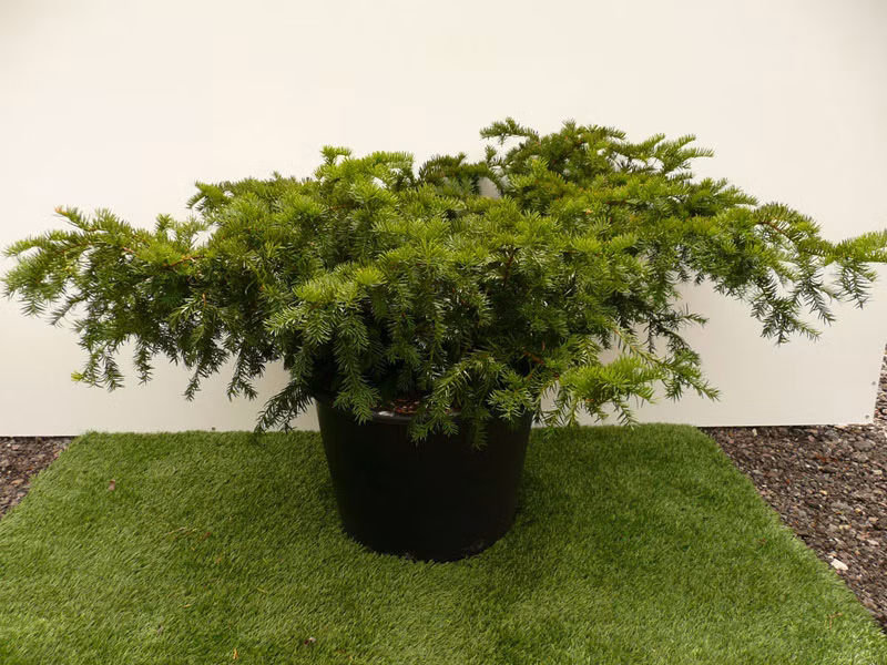 47d8ebbea57849fd60825e8e6e38d8c2