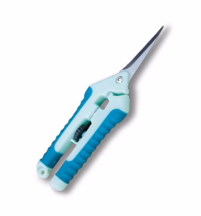 47f2036289a404c69e1c242d56d4b0a2