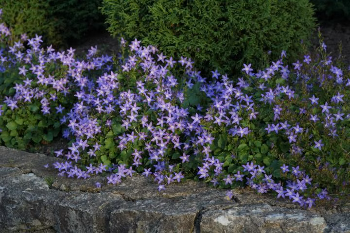 47f71ec11c692f6e55e02fe3fa001d3d