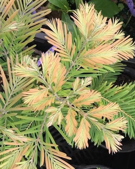 4814fe3bb152342e2f0eacad8edeaed0