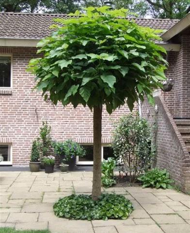 4819baa3def800013ee9a6c8fd03a828