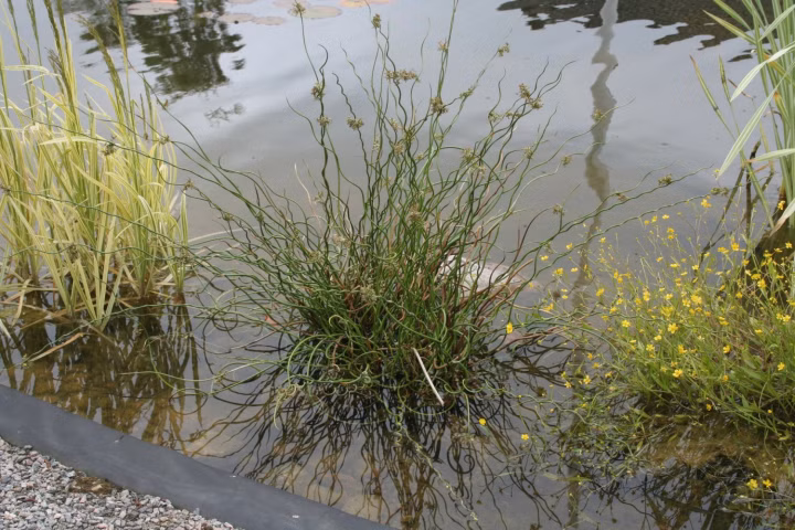 481ce441e8696e9c1fbcc89c9d251863