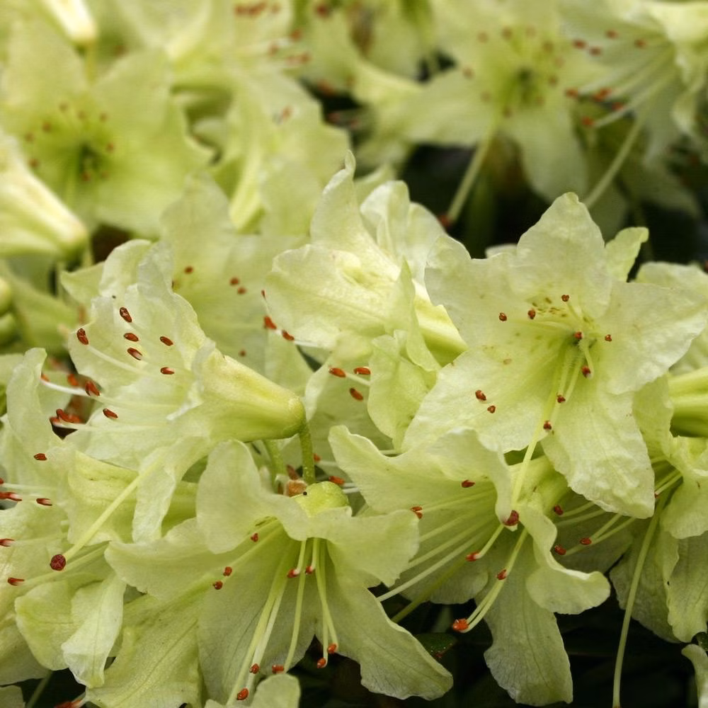 484a4633ae230a0f84b0596de4eaf423