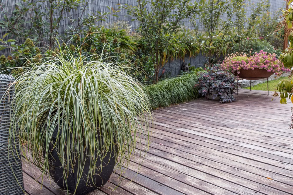 488584574269976704fa2556b87f0674