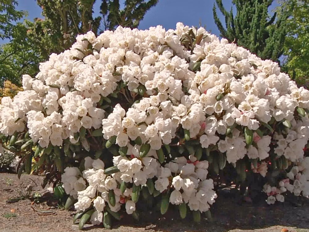 48d5e57e956dbae1a79731a04dc28da7