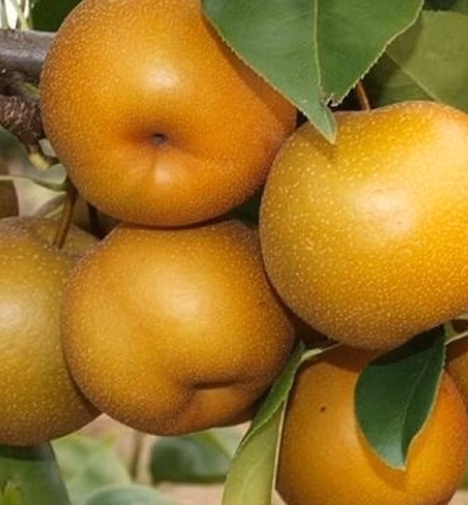 48ef78b76b3e80e5f4bf9a64f36632dc