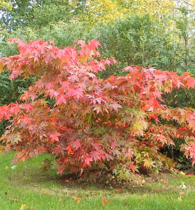 495eb758dd68ad51a38a200238a84945