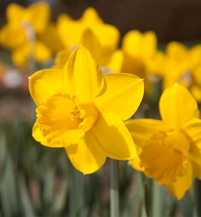 4989925c1a8ed34b756c19721b419c99