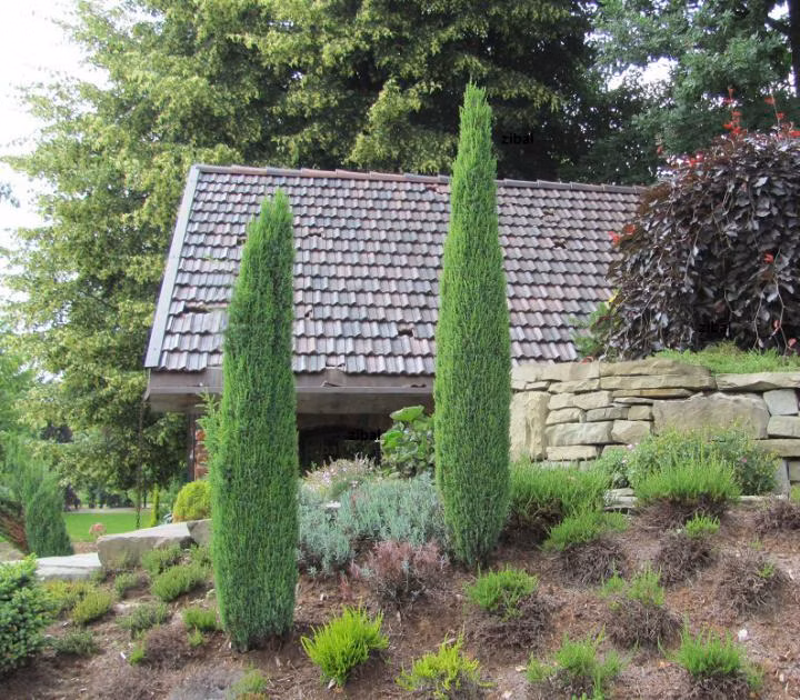 49ba8a9cf1b0a51798e50646366f4aa9