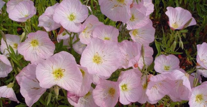 49fdb0744798ef095050eda6dcb608e6