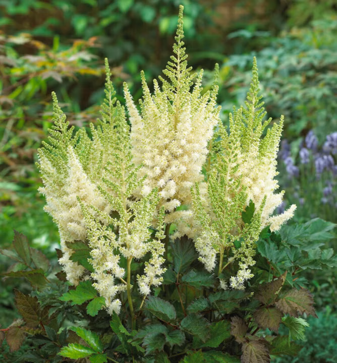 4a548b6d74060941c4339d2e549b980c