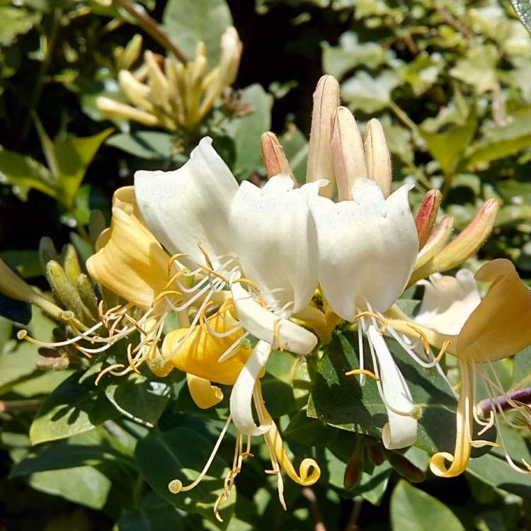 4a8419db7f294019da7b2e738acb5e58