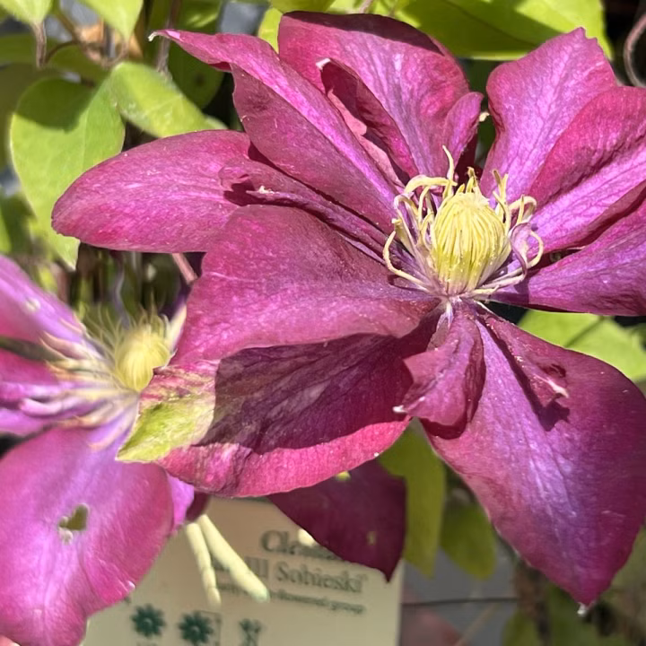 4aada53be32609ea84a8cbbb77053be8