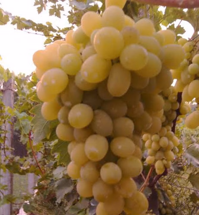 4b034322e8a899d952f7669cfbda3d21