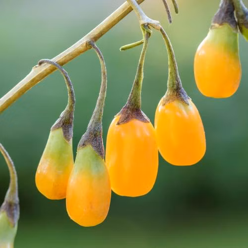 4b5a3dfafbefa379e74b42183592ca10