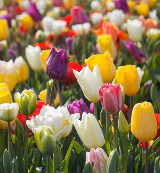 4b5ff04ee6637c77d8ae6a38954c6266