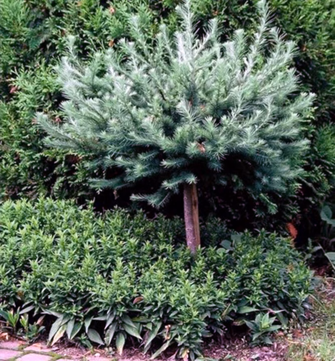 4b833948ddec94e965d754ef9999b451