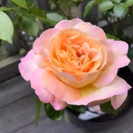 4bb31354d65d4c3706dbf52ca3c808ed