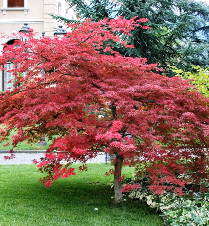 4bb3209399631d0d7adf1d274bd95879