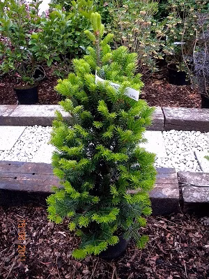 4bba9fdfdff4ed3cba943c3ab86068a7