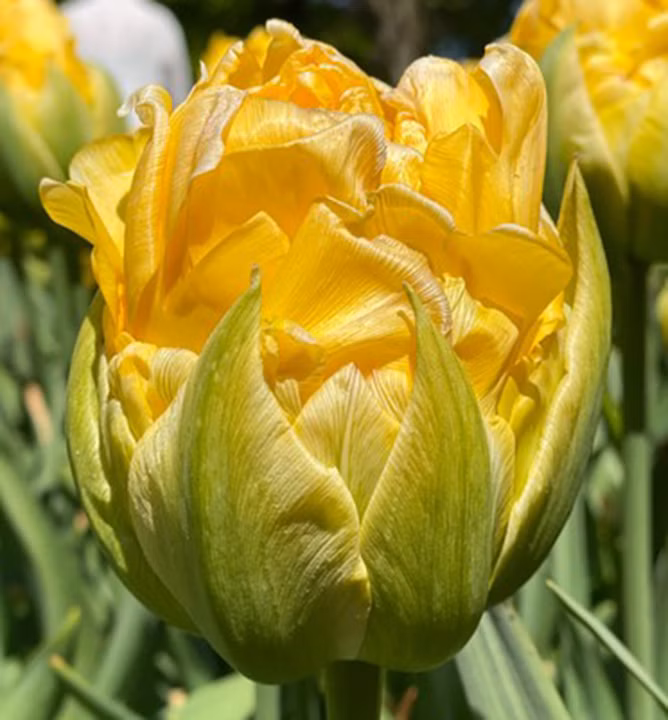 4bbba867525acbf6b120323de90c5f5a