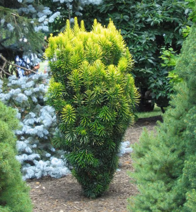 4bc62746b940fc829a718a1e1ca9131a